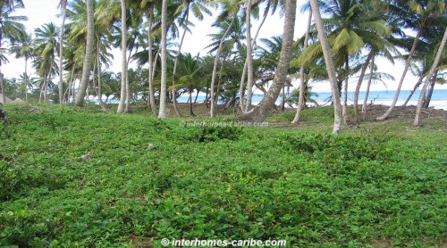 photos for GASPAR HERNANDEZ: BEACHFRONT PROPERTY ON THE POPULAR LAS CAÑAS BEACH