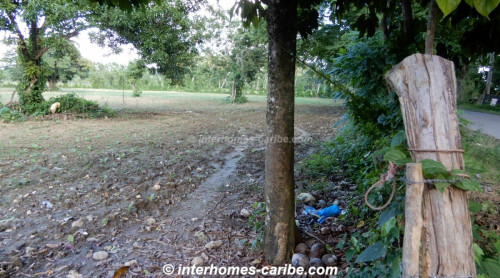 photos for Sabaneta de Yasica – La Boka: PRICE DROP - Lot with 3,030 m² (0.749 acres) for versatile use and development