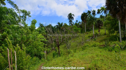 photos for SOSUA ABAJO: LOT OF CURRENTLY 32,000 M² (7.91 ACRES), VERSATILE USABLE, LOCATED CLOSE TO SOSUA