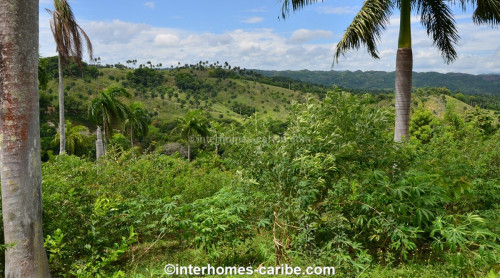 photos for SOSUA ABAJO: LOT OF CURRENTLY 32,000 M² (7.91 ACRES), VERSATILE USABLE, LOCATED CLOSE TO SOSUA