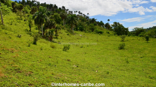 photos for SOSUA ABAJO: LOT OF CURRENTLY 32,000 M² (7.91 ACRES), VERSATILE USABLE, LOCATED CLOSE TO SOSUA