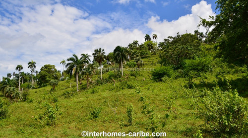 photos for SOSUA ABAJO: LOT OF CURRENTLY 32,000 M² (7.91 ACRES), VERSATILE USABLE, LOCATED CLOSE TO SOSUA