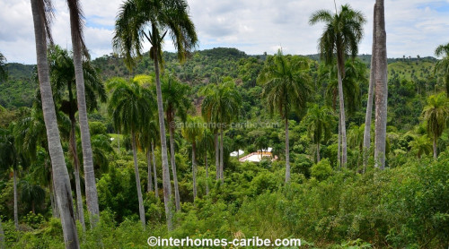 photos for SOSUA ABAJO: LOTS FROM 1,000 M² (10,764 ft²) AND LARGER, LOCATED CLOSE TO SOSUA