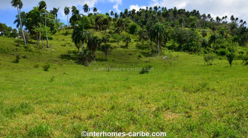 photos for SOSUA ABAJO: LOTS FROM 1,000 M² (10,764 ft²) AND LARGER, LOCATED CLOSE TO SOSUA