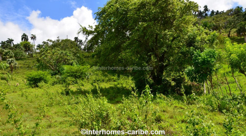 photos for SOSUA ABAJO: LOTS FROM 1,000 M² (10,764 ft²) AND LARGER, LOCATED CLOSE TO SOSUA